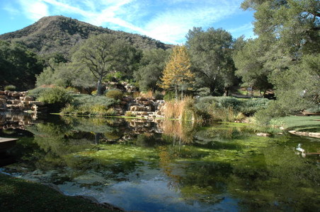 Enlarge photo 48