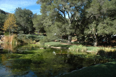 Enlarge photo 49