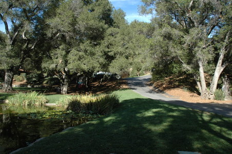 Enlarge photo 50