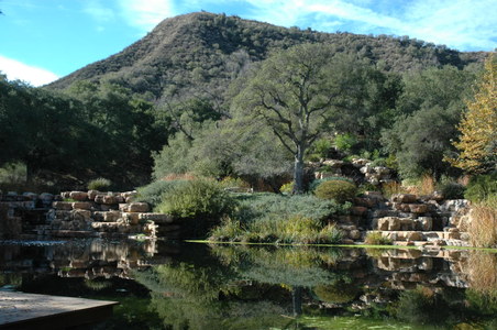 Enlarge photo 51
