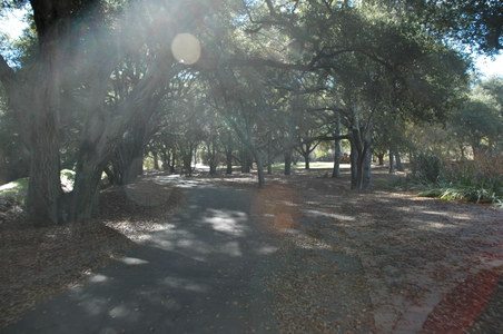 Enlarge photo 52