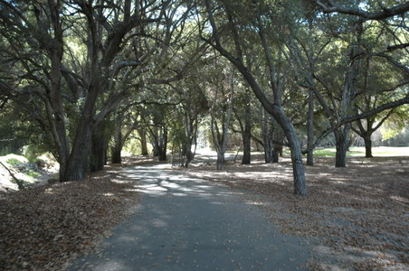 Enlarge photo 53