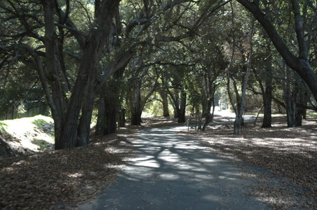 Enlarge photo 54