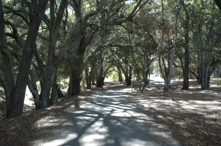 Enlarge photo 55