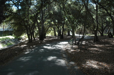 Enlarge photo 56