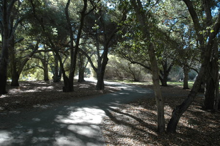 Enlarge photo 57