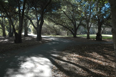 Enlarge photo 58