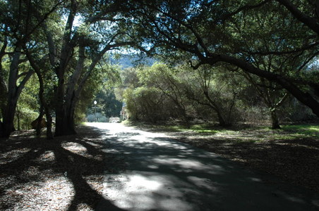 Enlarge photo 59
