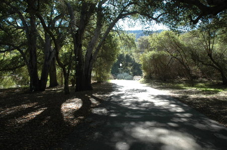 Enlarge photo 60