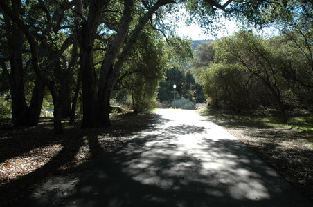 Enlarge photo 61