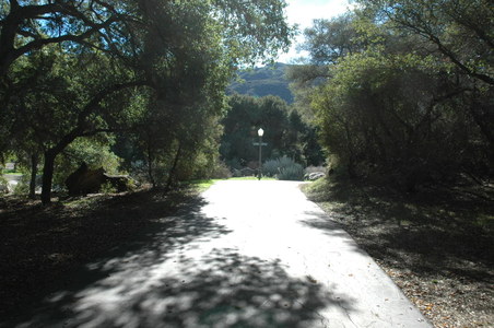 Enlarge photo 62