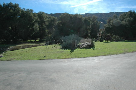 Enlarge photo 66