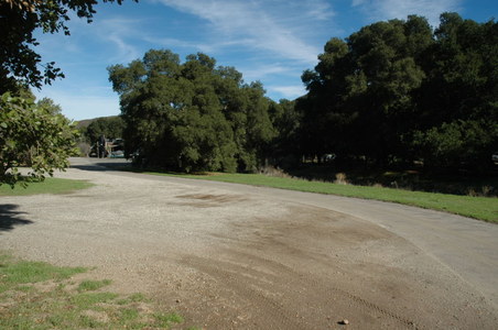 Enlarge photo 87