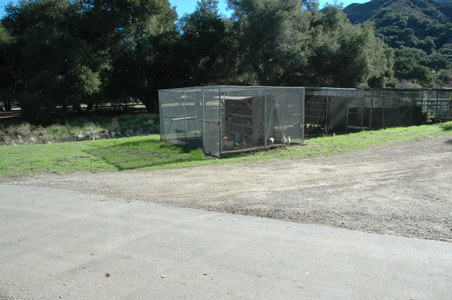 Enlarge photo 89