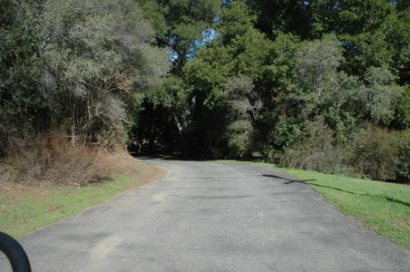 Enlarge photo 94