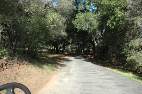 Enlarge photo 95