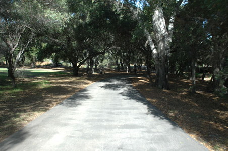 Enlarge photo 96