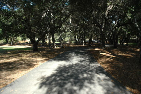 Enlarge photo 97