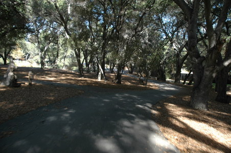 Enlarge photo 98