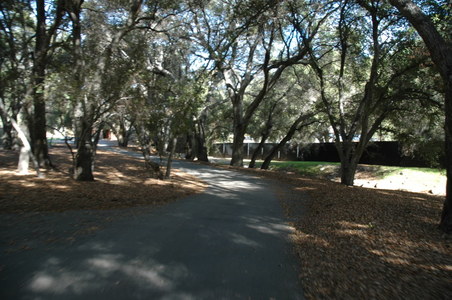 Enlarge photo 99