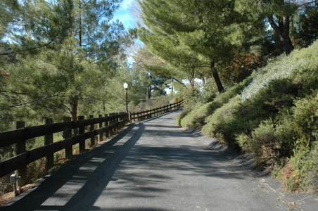 Enlarge photo 102