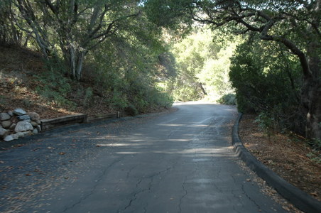Enlarge photo 104