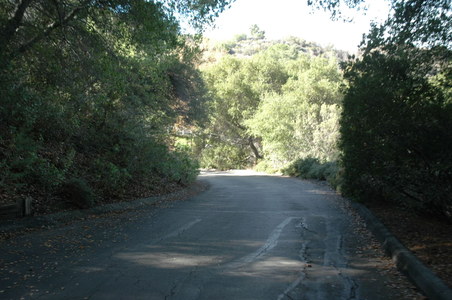 Enlarge photo 105