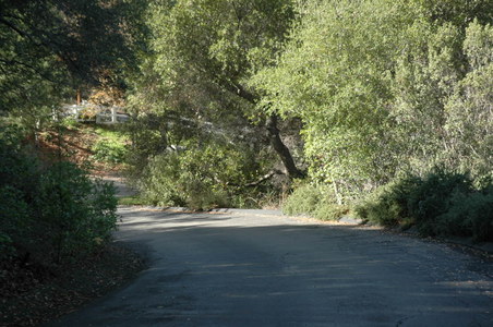 Enlarge photo 106