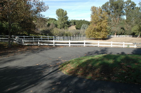 Enlarge photo 107