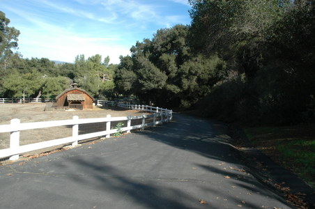 Enlarge photo 110