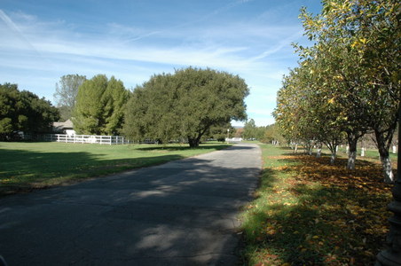 Enlarge photo 111