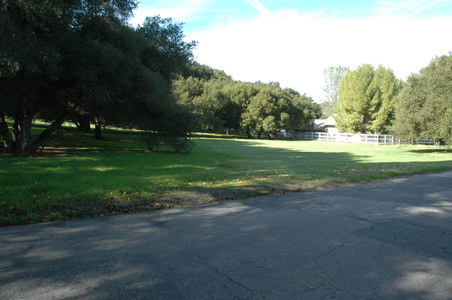 Enlarge photo 112
