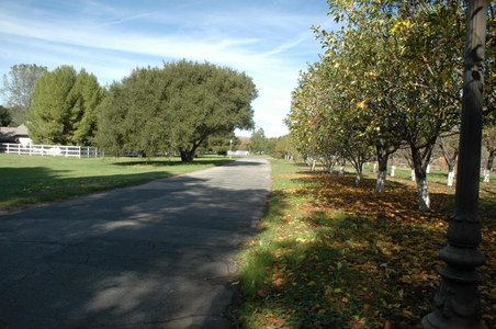 Enlarge photo 113