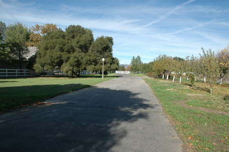 Enlarge photo 114