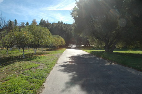 Enlarge photo 115