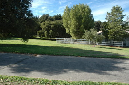 Enlarge photo 117