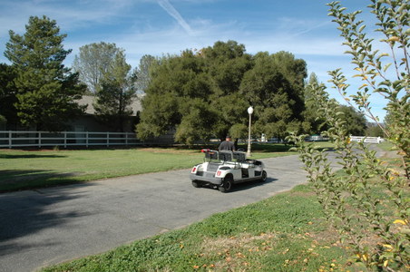 Enlarge photo 118