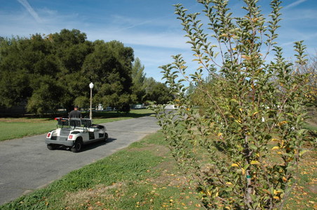 Enlarge photo 119