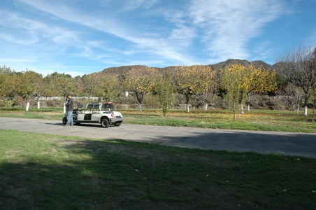 Enlarge photo 121