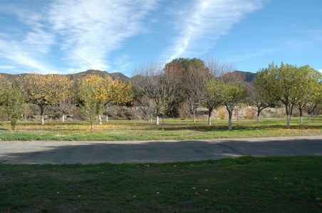 Enlarge photo 122