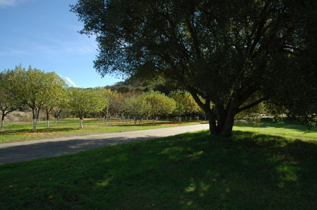 Enlarge photo 123