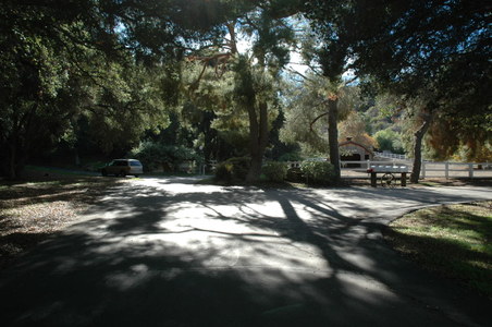 Enlarge photo 124