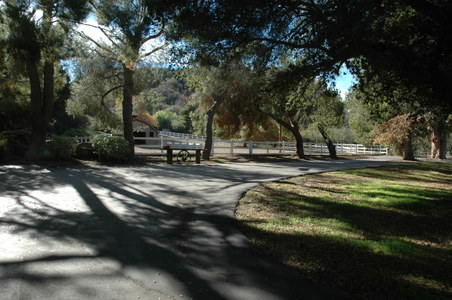 Enlarge photo 125