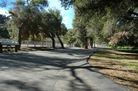 Enlarge photo 126