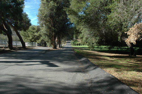 Enlarge photo 127