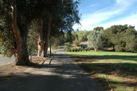 Enlarge photo 129