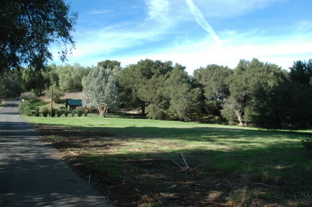 Enlarge photo 130