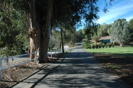 Enlarge photo 131