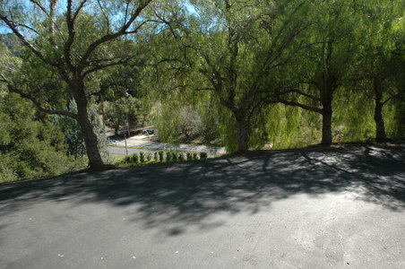 Enlarge photo 133
