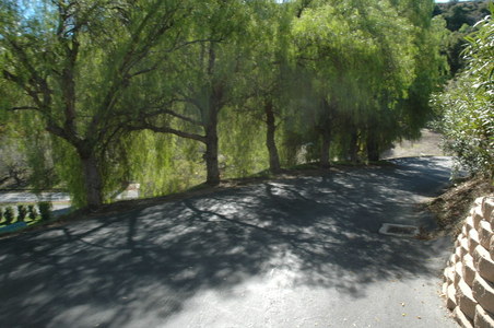 Enlarge photo 134